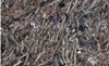 8 thảm họa thiên nhiên tồi tệ nhất năm 2012