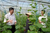 Bí thư Thị ủy Bùi Quốc Bảo tham quan một số mô hình sản xuất nông nghiệp trên địa bàn xã Thanh Phú và xã Thanh Lương