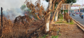 Phường Phú Đức đốt cỏ khô tại khu vực sân banh lòng chảo chủ động phòng cháy